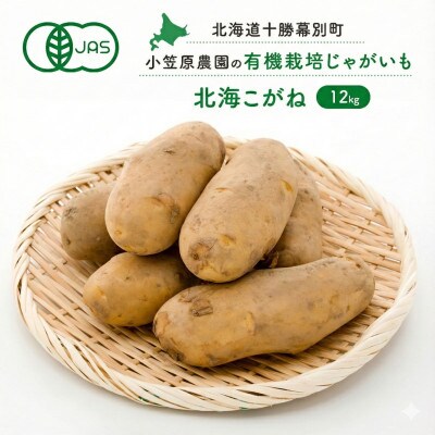 小笠原農園の有機じゃがいも「北海こがね」12kg 《2026年秋出荷先行予約》 [53690934]