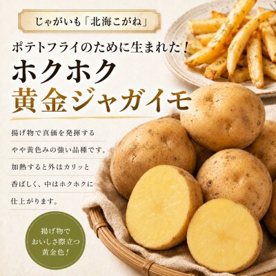 有機野菜3種 とうや・北海こがね各1.5kgとリーキ3kg R8秋出荷[53690950]