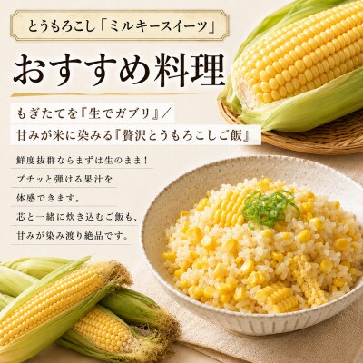 小笠原農園の有機玉蜀黍　ミルキースイーツ10本《R8年9月出荷開始先行予約》 [53691121]