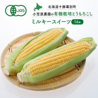 有機とうもろこし「ミルキースイーツ」16本《2027年8月出荷開始先行予約》[53691122]