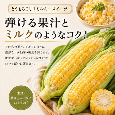 有機とうもろこし「ミルキースイーツ」16本《2027年8月出荷開始先行予約》[53691122]