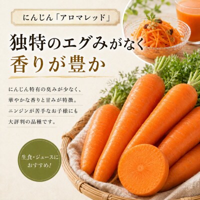 有機野菜2種 アロマレッド2.5kg・リーキ3kg R8秋出荷予定[53691347]