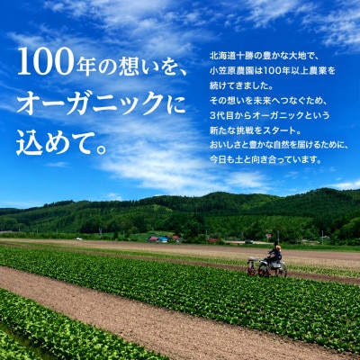 小笠原農園の有機にんじん「アロマレッド」5kg　幕別《2026年秋出荷先行予約》[53691416]