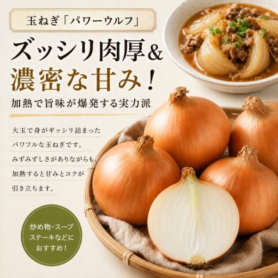 小笠原農園の有機野菜 2種詰合せ 玉ねぎ2kgリーキ1kg《R8秋出荷先行予約》[53691405]