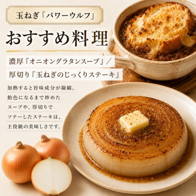 小笠原農園の有機野菜 2種詰合せ 玉ねぎ2kgリーキ1kg《R8秋出荷先行予約》[53691405]
