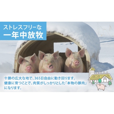[53690800]北海道十勝の放牧豚「遊ぶた」粗挽き1.2kg 餃子・ハンバーグ用セット
