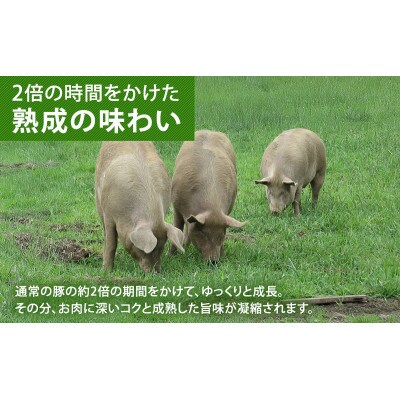 [53690803]北海道十勝の放牧豚「遊ぶた」大きなヒレカツ用640gセット