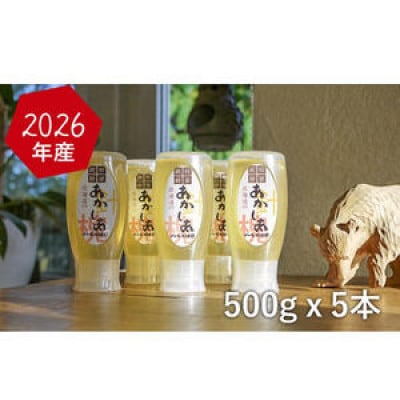 アカシア蜂蜜500g×5[53691108]
