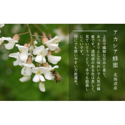 【国産純粋蜂蜜】北海道産 はちみつ3種食べ比べ 1.5kg (500g×3本) [53691172]