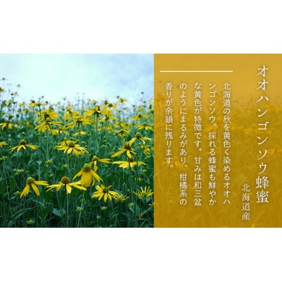 【国産純粋蜂蜜】北海道産 はちみつ3種食べ比べ 1.5kg (500g×3本) [53691172]