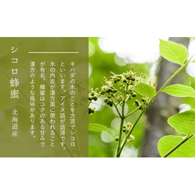 【国産純粋蜂蜜】北海道産 はちみつ3種食べ比べ 1.5kg (500g×3本) [53691172]
