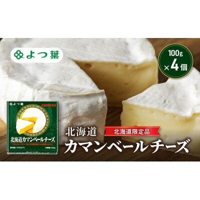 よつ葉 「北海道カマンベールチーズ 北海道限定品」100g×4[53691806]