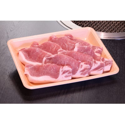 ヤマトポークとんかつ用　500g