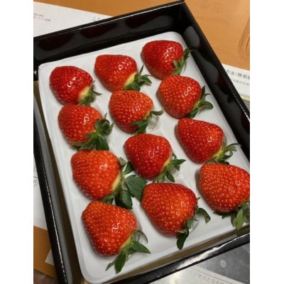 奈良県産 あすかルビー スペシャルセレクト 　1パック(12粒)