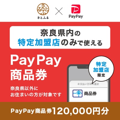 奈良県(県庁)　PayPay商品券(120,000円分)※地域内の一部の加盟店のみで利用可