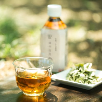 有機JAS認証  柿の葉茶　350ml×24本