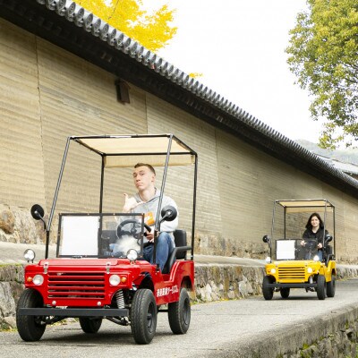 バギーで世界文化遺産巡りツアー体験チケット