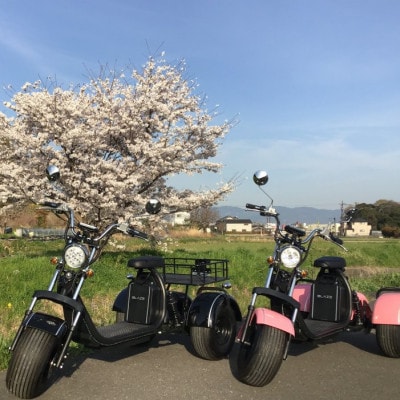 EV3輪バイク「トライク」三塔めぐりツアー 体験チケット