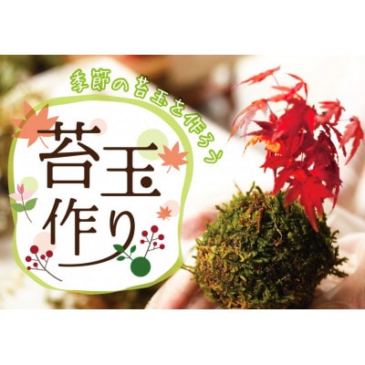インテリアにもピッタリ!苔玉作り体験チケット