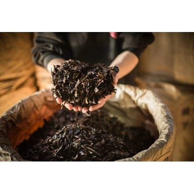 パウンドケーキセット(計10個)