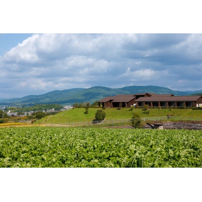 宿泊ギフト券(ツインルーム1泊2食付　2名様)