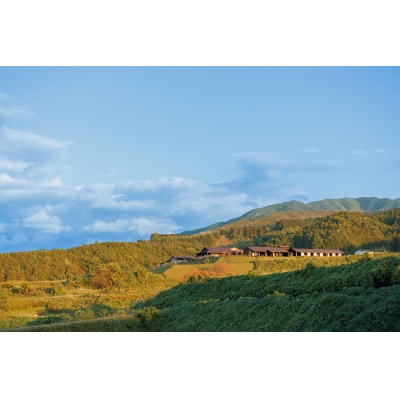 宿泊ギフト券(エグゼクティブスイートルーム　1泊2食付　2名様)