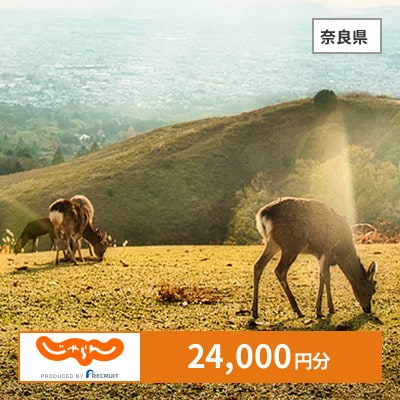 【じゃらんふるさと納税クーポン】 奈良県でつかえる24,000円 クーポン