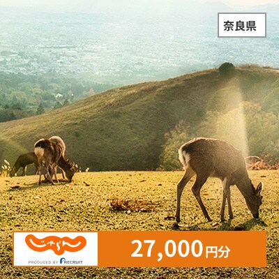 【じゃらんふるさと納税クーポン】 奈良県でつかえる27,000円 クーポン