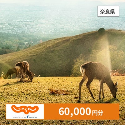 【じゃらんふるさと納税クーポン】 奈良県でつかえる60,000円 クーポン