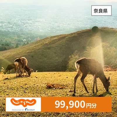 【じゃらんふるさと納税クーポン】 奈良県でつかえる99,900円 クーポン