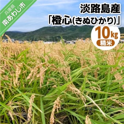 淡路島産「橙心(きぬひかり)」精米10kg