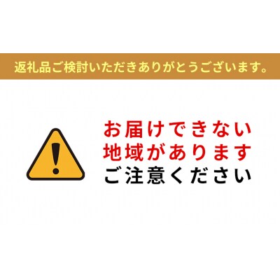全自動洗濯機 8.0kg IAW-T805BL-B アイリスオーヤマ[53750715]