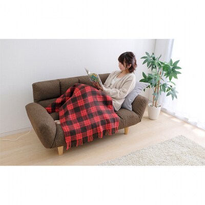 電気毛布 ブランケット ひざ掛け120×60cm EBK-1206-ZRレッド[53750495]