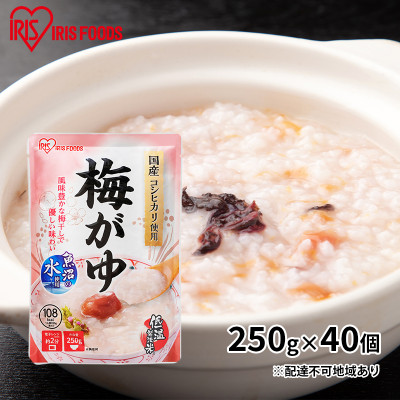 【防災】おかゆ　梅がゆ250g×40個　アイリスオーヤマ[53750850]
