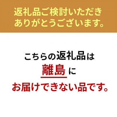 布団乾燥機 アイリスオーヤマ シングルノズル FK-RD1-H グレー[53751338]