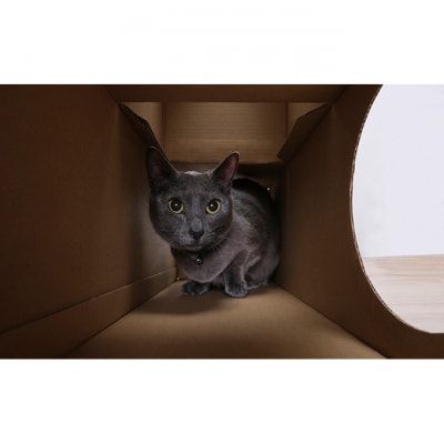 ねこねこトンネル フルセット P-NTFキャットウォーク 猫 猫用品アイリス[53751674]