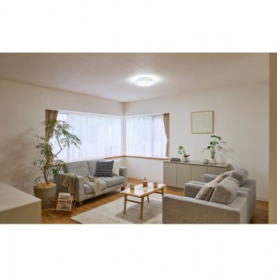 シーリングライト LED 照明 SeriesL 6畳調光CEA-2306D[53751903]