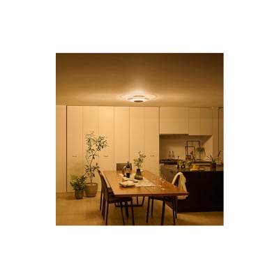 シーリングライト LED 照明 パネルライト 8畳 CEA-A08DLPW[53751884]