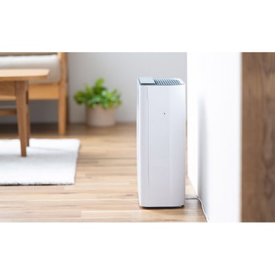 空気清浄機 薄型24畳 AAP-T50A-W ホワイト アイリスオーヤマ[53752108]
