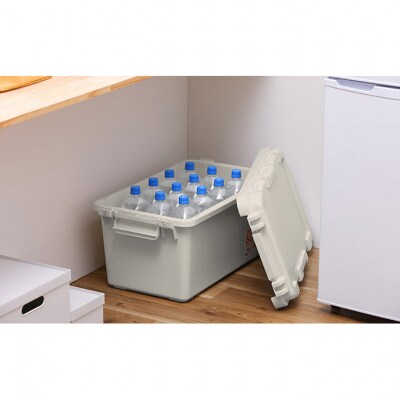 収納ボックス 44L TRAILBOX600 TRB-600 ホワイトアッシュ[53752200]