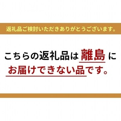 ゴミ袋 ペット 袋 臭わない【170枚×2箱】ペット用防臭袋 Sアイリスオーヤマ[53752396]