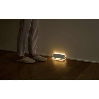 乾電池式LEDセンサーライト ダブルセンサー 廊下タイプ アイリスオーヤマ[53752656]