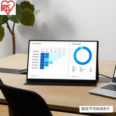 ポータブルモニター 18.5inch  ブラック アイリスオーヤマ[53752818]