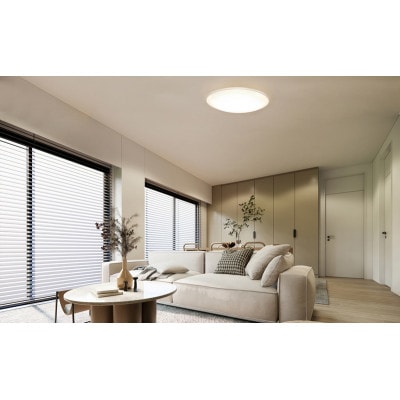 照明LEDシーリングライト14畳調光クリアフレーム アイリスオーヤマ リモコン付[53752864]