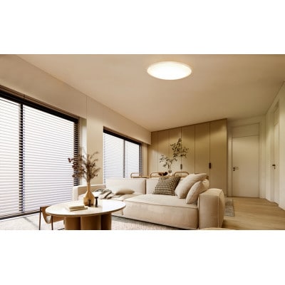 照明LEDシーリングライト14畳調色クリアフレーム アイリスオーヤマ リモコン付[53752865]