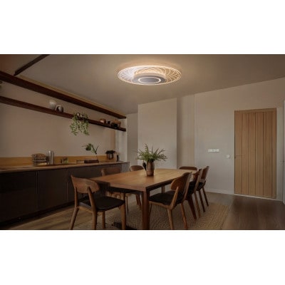 照明 LEDシーリングライト パネルライト 調光調色 8畳 　アイリスオーヤマ[53752866]