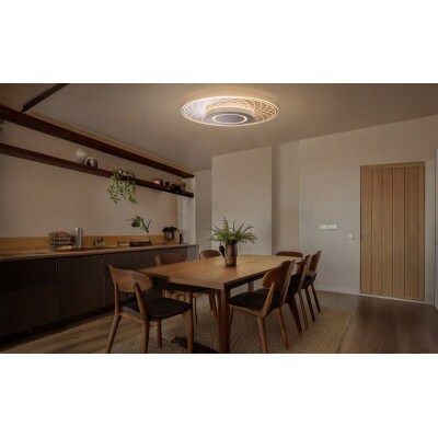 照明LEDシーリングライト 12畳　アイリスオーヤマ　リモコン付[53752867]