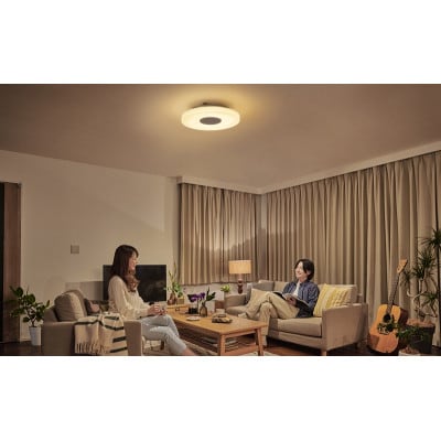 照明 スピーカーシーリングライト 8畳 アイリスオーヤマ　リモコン付[53752868]