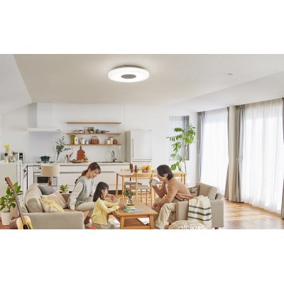 照明 スピーカーシーリングライト 12畳 アイリスオーヤマ リモコン付[53752869]