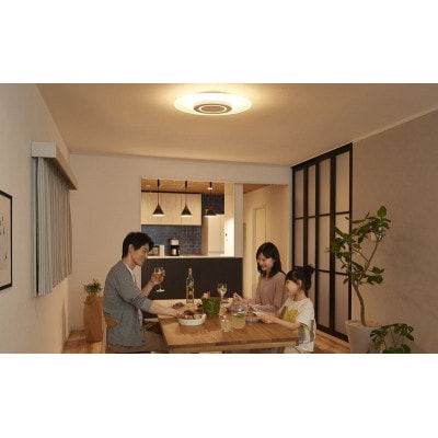 LEDシーリングライト パネルライト 8畳  アイリスオーヤマ[53753096]